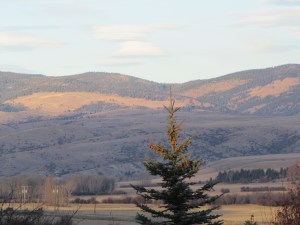 Montana 2013 096