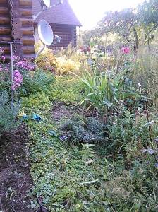 10551418_786542611402856_2657717772247695608_o