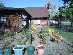 1559416_786542758069508_472669662315247091_o