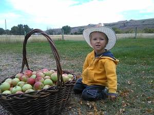 1939470_787461064644344_2597719738141277282_o